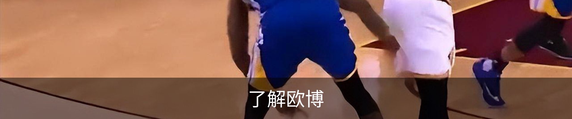 了解欧博